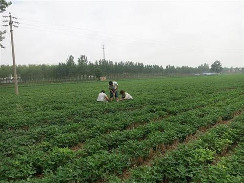1573463876563347.jpg u=2450731971,1626330649&fm=26&gp=0_副本.jpg